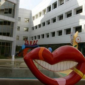 Больница Эдмонда и Лили Сафра - Израиль